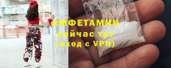 стафф Богданович